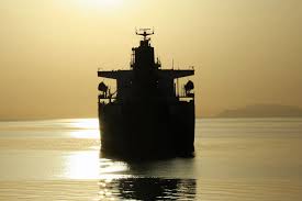 Image result for Natural Yellow 1999 Fleet