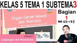 We did not find results for: Tema 1 Kelas 5 Sistem Gerak Hewan Dan Manusia Sub Tema 3 Bagian 1 Halaman 123 133 Youtube
