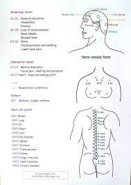 Reflexology basics, techniques, & routine. 100 Online Free E Course With David Avocado Wolfe Head Massage Techniques Head Massage Acupressure Massage