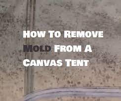 3m marine mildew stain remover is effective on. How To Remove Mold From A Canvas Tent Sleeping With Air