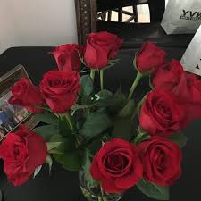 Check spelling or type a new query. Photos At Cvs Pharmacy Pharmacy In Hallandale