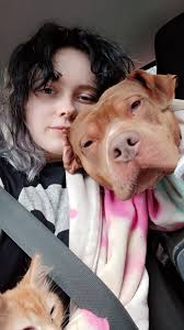 Public defender for traffic tickets