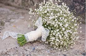 Gypsophila Paniculata Flower Arrangement Best Flower Wallpaper