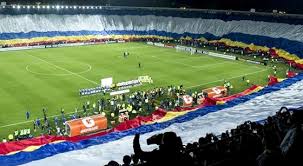Resultado de imagem para bandeira do Vascão