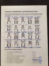 Pamishan Creature Dichotomous Answer Key Jpg 2448 3264 Dichotomous Key Biology Worksheet Kids Worksheets Printables