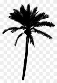 Clipart elements of tropical palm trees. Free Png Black Palm Tree Clip Art Download Pinclipart