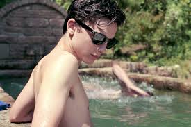 Un film réalisé par luca guadagnino avec armie hammer, timothée chalamet, michael stuhbarg, amira cesar, esther gar. Call Me By Your Name Andre Aciman Se Confie Sur Son Roman Find Me Vogue Paris