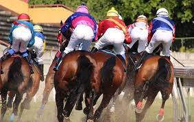 How Do So Many Jockeys Survive When They Re Earning So Little Topics Eddie Arcaro Jockeys Guild Thoroughbred Racing Commentary