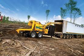 Forestry was once again a big player. Land Clearing Cost Guide 2021 Save 43 On Tree Clearing
