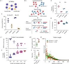 Dna analysis os answer key. High Resolution Targeted 3c Interrogation Of Cis Regulatory Element Organization At Genome Wide Scale Nature Communications