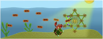 It is one of the most commonly found elements on earth, naturally occurring in all rocks, soils, rivers and oceans. Powerful Uranium Extraction Strategy With Combined Ligand Complexation And Photocatalytic Reduction By Postsynthetically Modified Photoactive Metal Organic Frameworks Sciencedirect