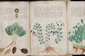 Este es mi primer libro sobre pronosticación con qi men dun jia, leer más. El Manuscrito Voynich El Misterio Del Libro Que Nadie Ha Podido Leer Puede Estar A Punto De Resolverse