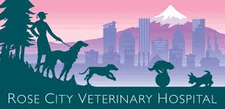 Po box 6524 portland, or 97228. Rose City Veterinary Hospital A Well Established Full Service Veterinary Pet Hospital Providing Comprehensive Medical Surgical And Dental Care For Dogs And Cats In Portland Or