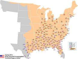 Ohio Birds And Biodiversity Hummingbirds Early To Return