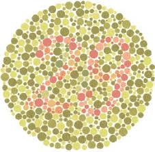 Color Blind Test Test Color Vision By Ishihara Test For