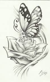 Pictures Of Flowers And Butterflies To Draw Wallpapers Quality Flowers are symbols of youth. pictures of flowers and butterflies to