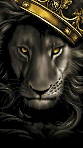 Here you can find the best lion pictures wallpapers uploaded by our. Black Lion Hd Wallpaper Download