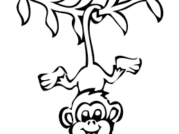Discover more posts about cute monkey. Images Of Cartoon Drawing Monkey Photos