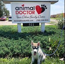 Most Trusted Veterinarian In Junction City Fort Riley Ks Animal Doctor