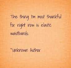 180 Best Thanksgiving Captions For Instagram The Random Vibez
