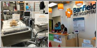Banfield pet hospital offers the following services; Open House At Banfield Pet Hospital In Richmond Heights Mo Blanton Construction