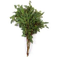 Dusty miller leaves add body to your flower arrangement, but their soft feeling and appearance create a delicate look within a wedding bouquet. Wedding Flower Favorites Eucalyptus Blooms By The Box