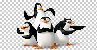 Official site of dreamworks animation. Madagascar Penguins Png Clipart Madagascar Penguins Free Png Download