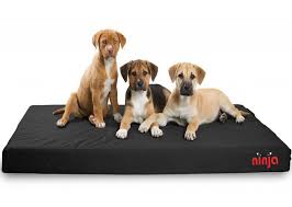 A great choice for puppies is a small to medium chew proof dog bed that they can grow into. Purchase Indestructable Dog Bed Up To 67 Off