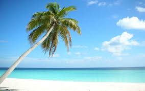 Beachfront hotel with relaxing spa services. Bewertungen Adaaran Select Meedhupparu 4 Male Voyage Prive