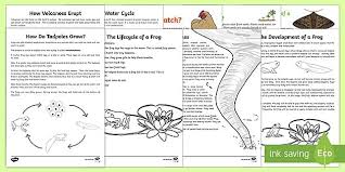 These Explanation Text Examples Are Ideal For Teaching Your Students How To Write Clear And Accurate Copy On A In 2020 Explanation Text Water Cycle Explanation Writing