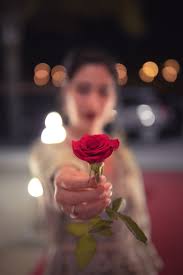 Puis, il y a les roses éternelles conçues à partir de vraies roses. Rose Eternelle A Marseille Simone Fleurs Specialiste Rose Eternelle