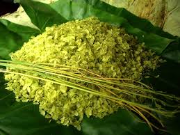 Thơm dịu mùa cốm làng Vòng