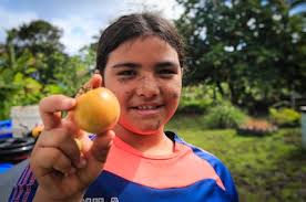 Sacred island soil: How a Church farm in Hawaii is feeding bodies and souls 