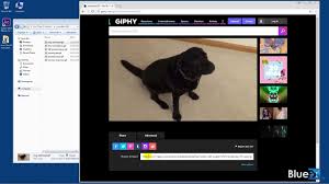 How To Make Animated Gif S In After Effects And Post Them To Facebook Bluefx There are over 1500 gifs to explore.