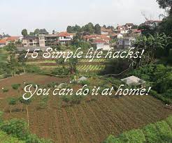Hacks to keep flies away. 15 Simple Life Hacks Home Hacks 16 Steps Instructables