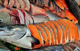Browse 794 king salmon stock photos and images available, or search for sockeye salmon or coho salmon to find more great stock photos and pictures. Compare Wild King Salmon Prices Online Salmon Delivery Companies