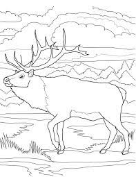 Dessins Gratuits A Colorier Coloriage Caribou A Imprimer Deer Coloring Pages Bear Coloring Pages Coloring Pages
