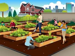 Maybe you would like to learn more about one of these? The Real Value Of Urban Farming Hint It S Not Always The Food Vox