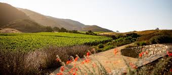 Image result for Moulin Rouge Red 2013 Captiva