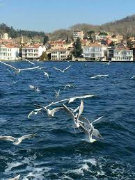 Nihat Ipeksumer Adli Kullanicinin Istanbul Panosundaki Pin Istanbul Manzara Resimler