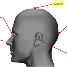 Right now is my vertex. Localization Of Vertex Cz On The Scalp 11 Measure The Distance Of Download Scientific Diagram
