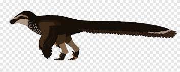 Dakotaraptor saurian velociraptor tyrannosaurus deinonychus, plumas  marrones, tiranosaurio, fauna png | PNGEgg
