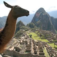 Learn more about machu picchu. Peru Opens Machu Picchu For Lone Tourist Who Had Been Stranded In The Country For 7 Months Abc News