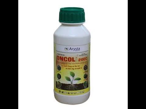 Oncol 20EC