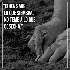 Quien Sabe Lo Que Siembra No Teme A Lo Que Cosecha Frases Motivadoras Motivacion Frases Frases Sabias