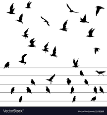 Birds Sitting On A Wire Painting Flock Of Birds Sitting On Wires And Flying Vector Image On Vectorstock Flock Of Birds Birds Vector Images