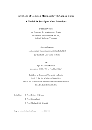 Our directory of collier county home builders includes experts in residential construction of all kinds. 2