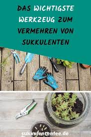 Diese 7 Werkzeuge Brauchst Du Beim Vermehren Deiner Pflanzen In 2020 Gartenhandschuhe Pflanzen Gartenpflege