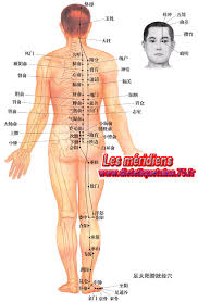 Acupuncture is an alternative therapy that involves inserting thin needles into targeted areas of the body. Le Meridien De La Vessie Dietetique Chinoise Et Tuina