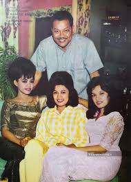Perbadanan kemajuan filem nasional), abbreviated finas, is the central government agency for the film industry of malaysia. Golden Age Of Malay Film Industry